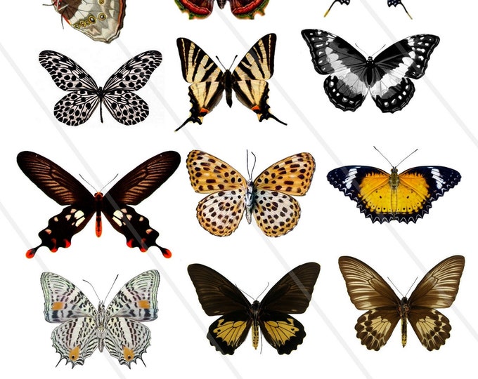 Digital Collage Sheet Butterflies Wings JPEG and PNG Instant - Etsy