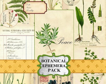 Kit de diario botánico, efímera de plantas vintage, álbum de recortes, papel imprimible, jardín vintage, herbario vintage, descarga digital