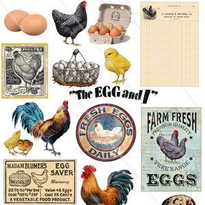 Digital Collage Sheets Farm House rooster chicken eggs Vintage clip art, farm house ephemera Printable Ephemera Png files INSTANT Download