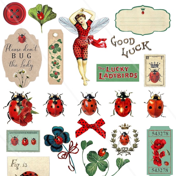 Vintage Ladybug cliparts Ephemera Printable Ladybird PNG Garden Digital Download, Printable red poppy Summer ladybud download Allegradigital