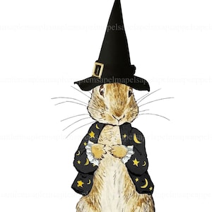 Digitaler Collagebogen Peter Rabbit Halloween Beatrix Potter, Sofortiger Download, Decoupage, Kinderzimmer Dekor, Babyparty, Halloween Dekor