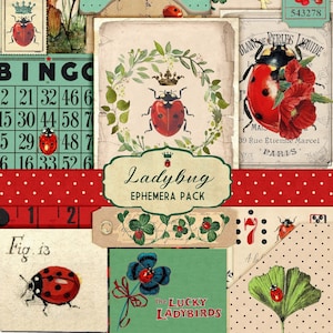 Vintage Ladybug Junk Journal Ephemera Pack – Printable Summer Garden Digital Download | Ladybird Paper Kit, Allegradigital