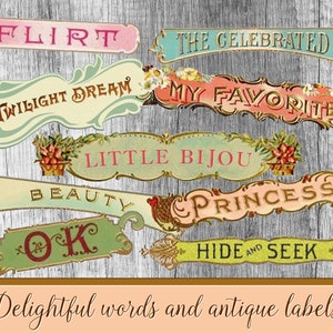 Digital collage sheet Delightfull Words and antique labels Instant Download, Words collage sheet printable inspirational Words Junk Journal
