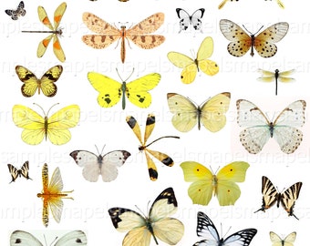 Digital Collage Sheet Butterflies butterfly clipart Digital Scrapbook Paper butterfly yellow white butterflies vintage Jpeg and PNG images