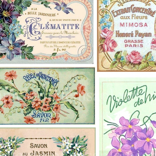 French Perfume Cologne Labels Digital Sheet 6 Labels Etsy