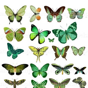 Digital Collage Sheet Butterflies wings JPEG and PNG images butterfly clipart Digital Scrapbook Paper butterfly green butterflies vintage