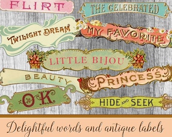 Digital collage sheet Delightfull Words and antique labels Instant Download, Words collage sheet printable inspirational Words Junk Journal