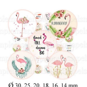 Flamand Rose-Images digitales cabochon flamand rose, images digitales cabochon flamand rose 30 mm, 25 mm, 18 mm 16 mm, 14 mm allegradigital