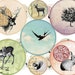 see more listings in the Circle collage sheet section