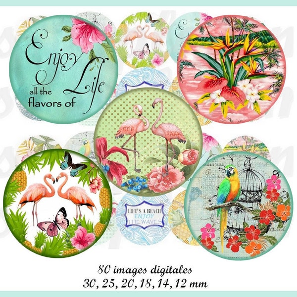 Digitale kreise Tropish Cabochon Vorlagen Cabochon Bilder  digital Rund Tropisch Flamingo Blumen, Flämisch Vogel, digital Rund