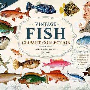 Digitala clipart med fiskbilder, scrapbookingbilder, jpeg-bilder, png-bilder, fiskklistermärken, PNG-bilder att skriva ut, allegradigata!