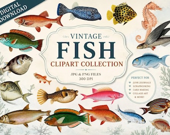 Fish clipart PNG images Digital Collage Sheet JPEG vintage fishes downloads  vintage fish ephemera Scrapbook Paper vintage Allegradigital