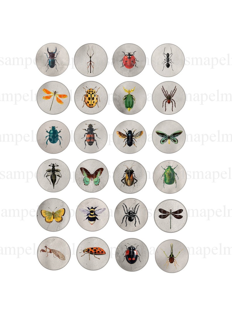Circle Insect Insects Digital Collage Sheet Butterfly Bug Bottlecap Images Insects ...
