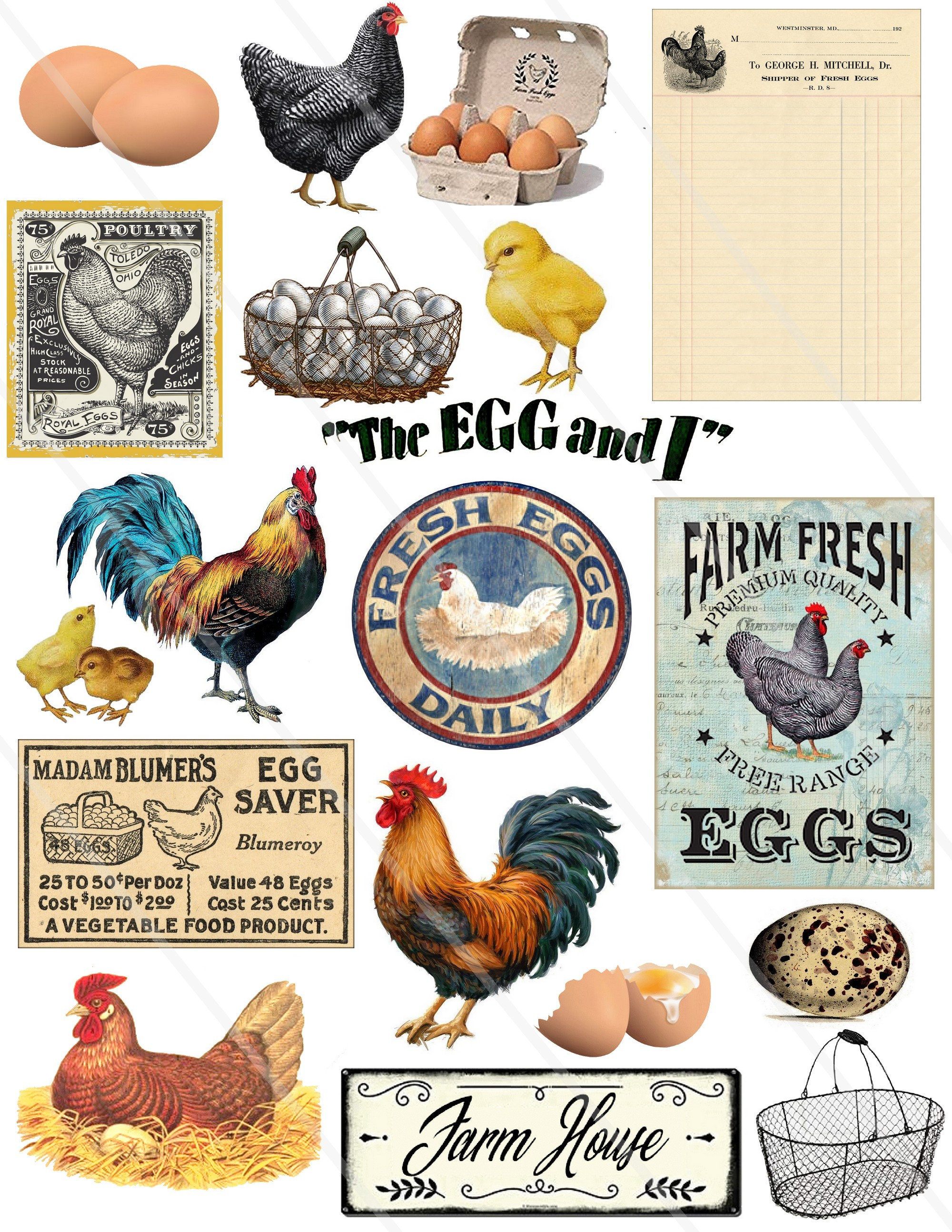 Ancienne Broderie Crewel – Poule, Panier, œuf, Encadrée, Style Campagne