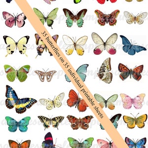 Digital Collage Sheet Butterflies Wings PNG and JPEG Instant Download ...