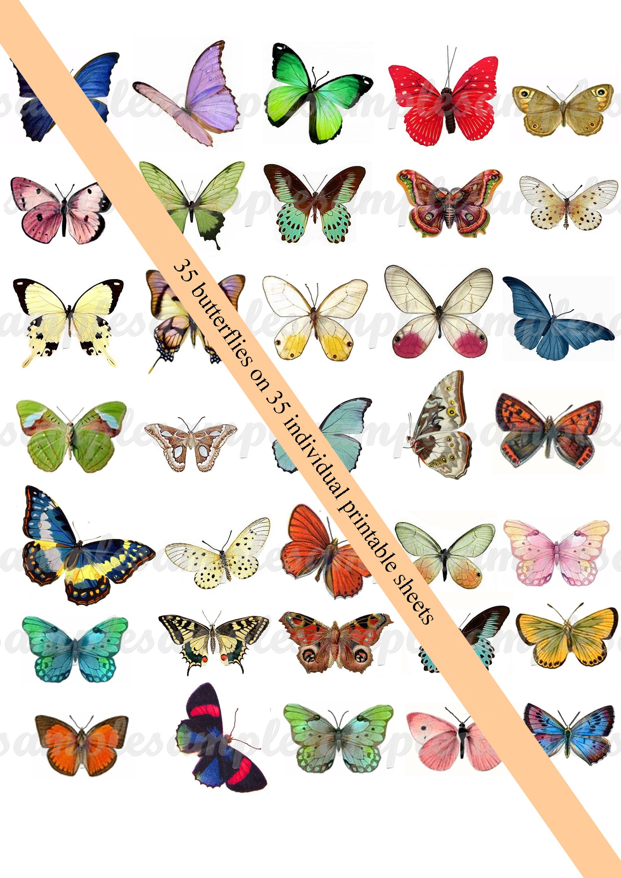 Digital Collage Sheet Butterflies Wings PNG and JPEG Instant - Etsy