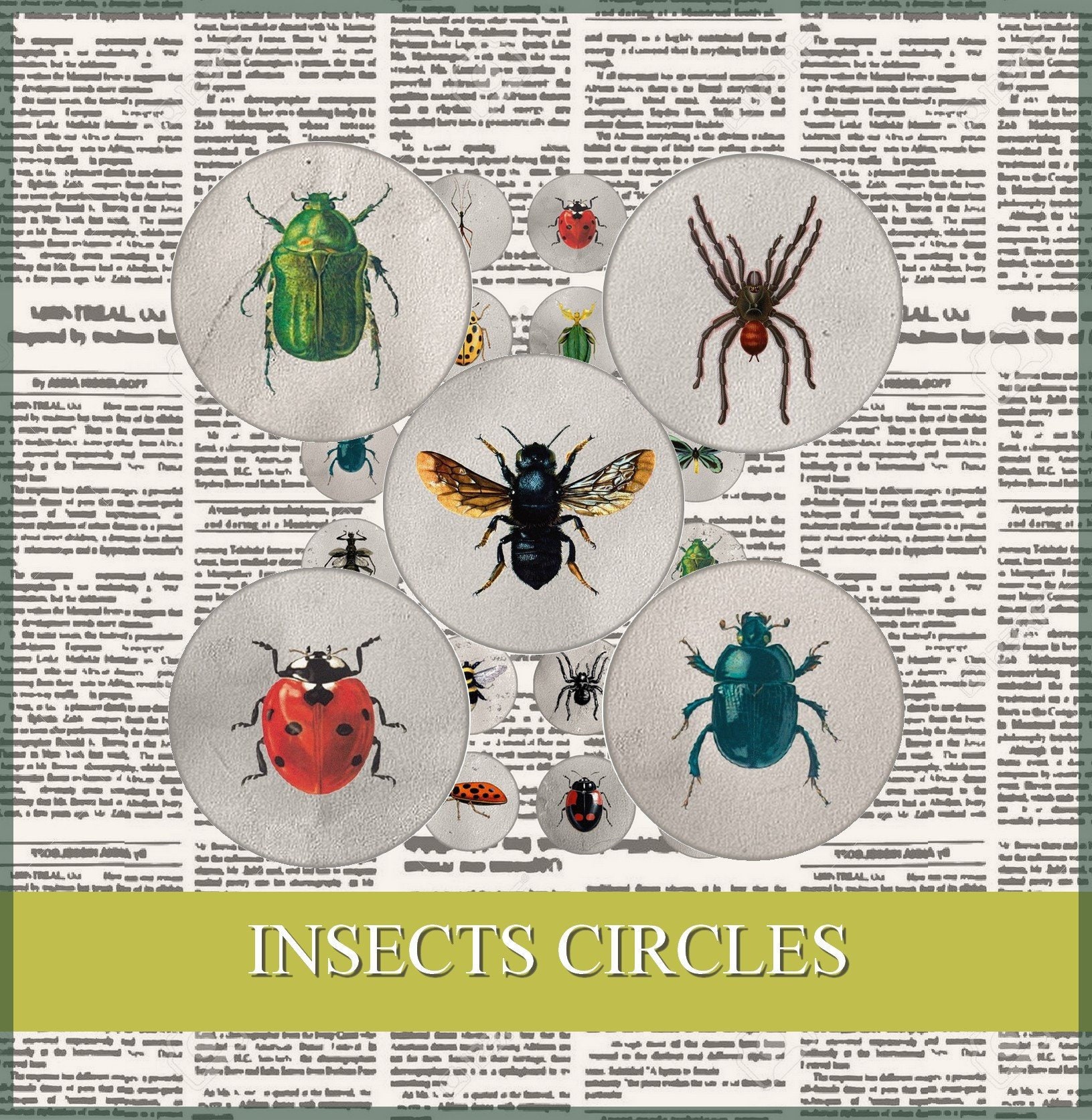 Paper Collage Insects Insects Digital Collage Sheet Butterfly Bug Bottlecap Images Insects ...