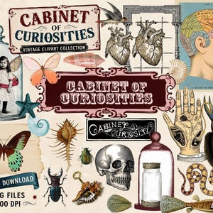 May include: A digital collection of vintage illustrations featuring the text Cabinet of Curiosities. Elements include a human skull, anatomical hearts, a phrenology head, a palmistry hand, insects, butterflies, seashells, a squid, and a snake.