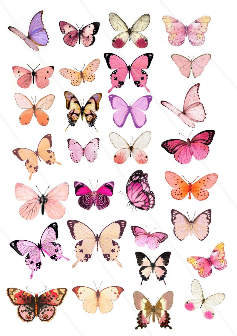 Digital Collage Sheet Butterflies wings JPEG and PNG Instant Download butterfly Digital Scrapbook Paper butterfly Pink butterflies vintage image 1