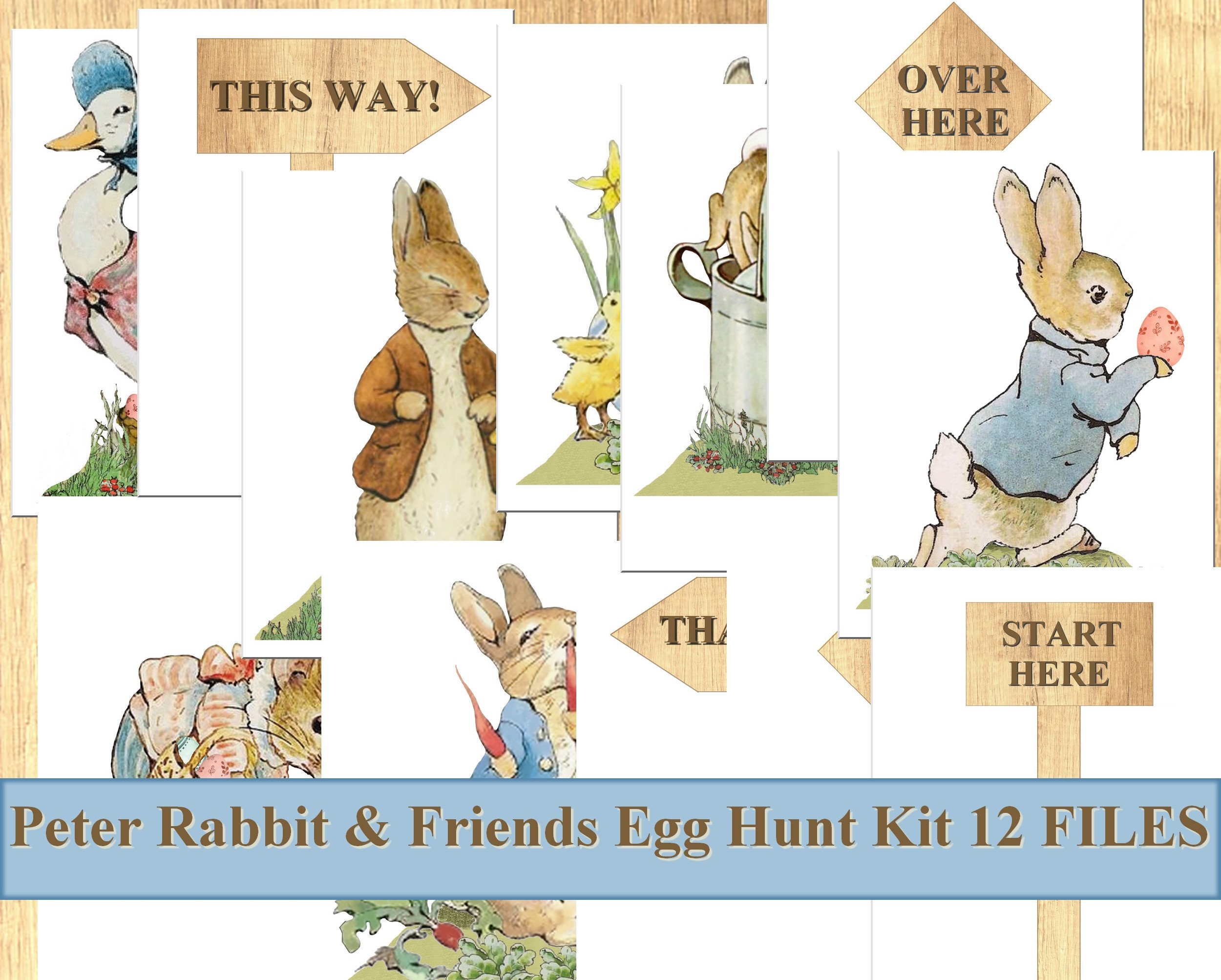 Peter Rabbit & Friends Egg Hunt Kit Printable Peter Rabbit Easter Party ...