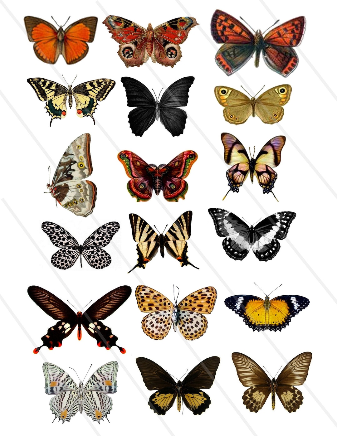 Digital Collage Sheet Butterflies Wings JPEG and PNG - Instant Download ...