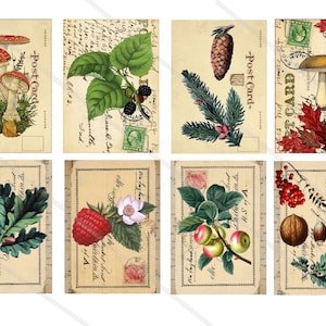images digitales cartes vintage automne forêt scrapbooking junk journal spot journal journaling