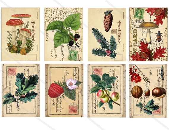 images digitales cartes vintage automne forêt scrapbooking junk journal spot journal journaling