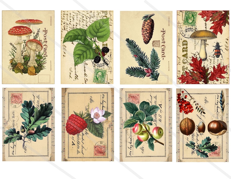 May include: Set of 10 vintage-style postcards featuring illustrations of various autumnal plants and objects, including mushrooms, acorns, berries, leaves, and pine cones. The postcards have a distressed, aged look and feature handwritten text.