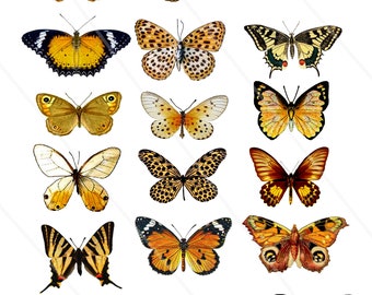 Digital Collage Sheet Butterflies wings JPEG and PNG - Instant Download butterfly Digital Scrapbook Paper butterfly butterflies gold vintage