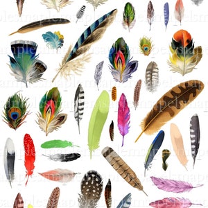 Birds feathers clipart Digital Collage Sheet JPEG-Instant Download bird feathers clipart Digital Scrapbook Paper bird feather card making