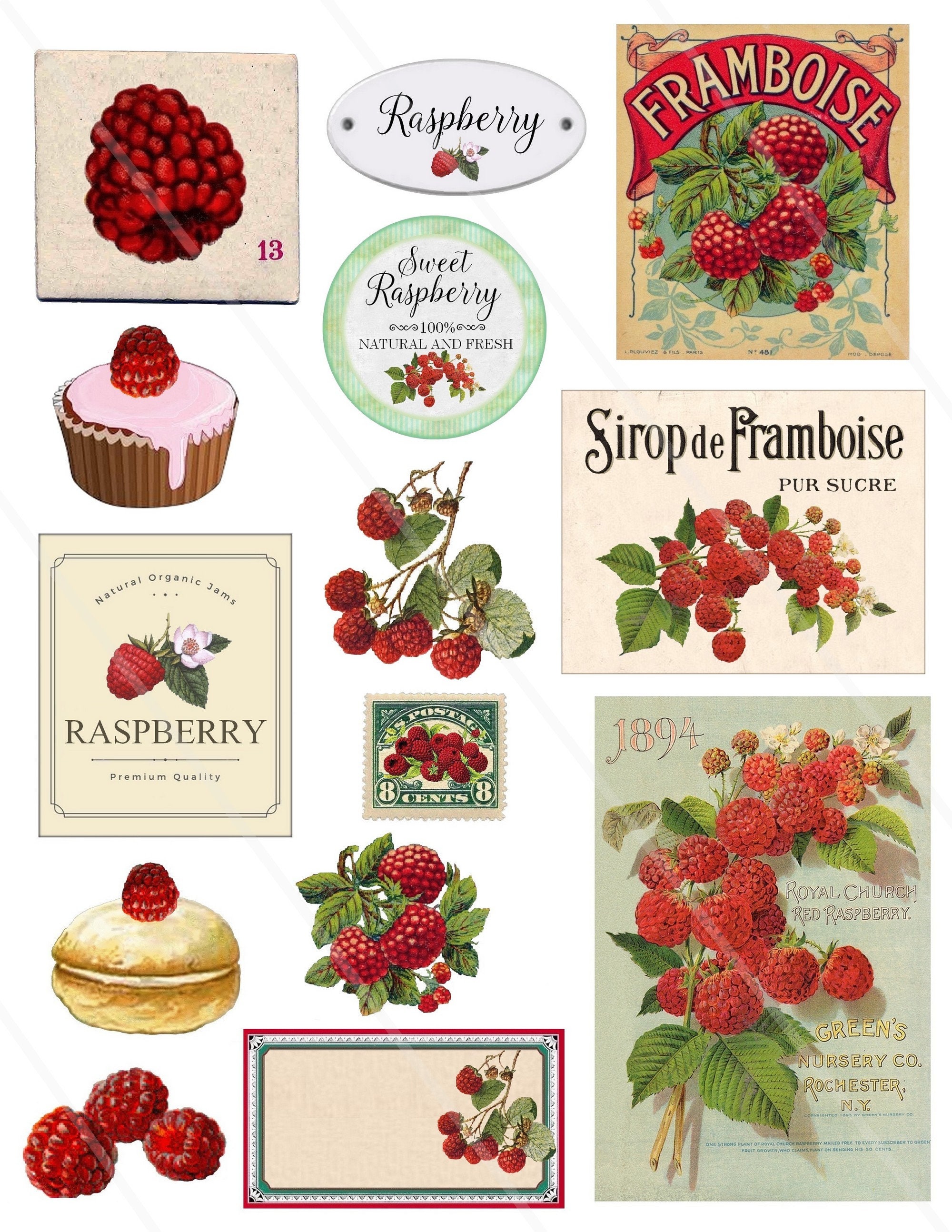 Vintage Raspberry Ephemera Raspberry Cliparts, PNG, Junk Journal ...