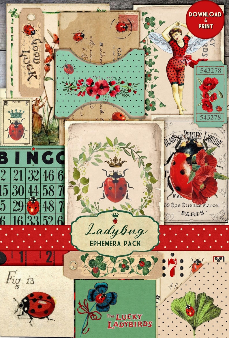 Vintage Ladybug Junk Journal Ephemera Pack – Printable Summer Garden ...