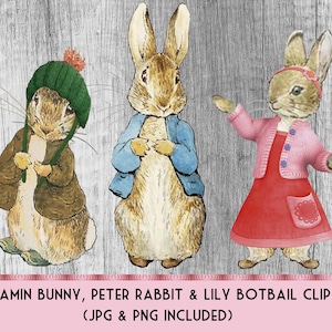 Collage digital Beatrix Potter Pierre Lapin, images digitales, clipart carte scrapbooking PNG JPEG Cricut Scan N Cut