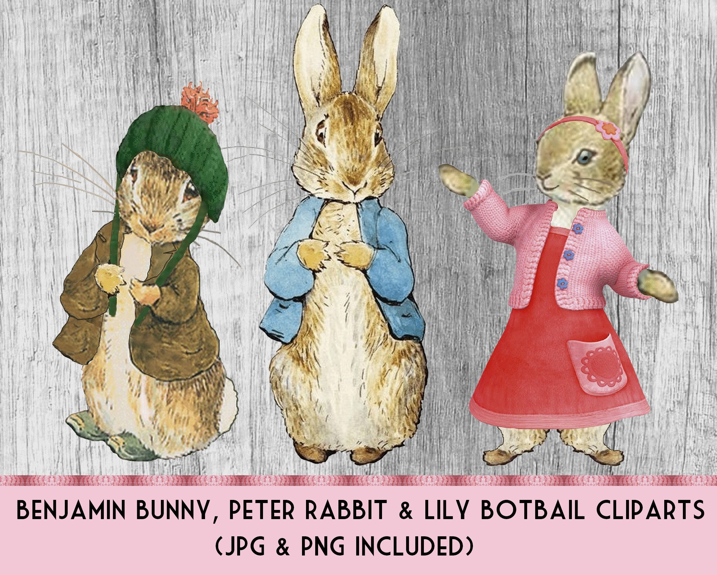 Peter Rabbit Illustrations Public Domain