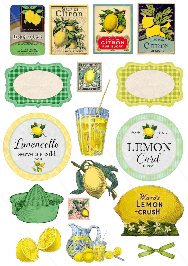 Vintage Lemon ephemera Lemon cliparts PNG junk journal Lemon - Etsy México