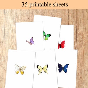 Digital Collage Sheet Butterflies Wings PNG and JPEG Instant Download ...