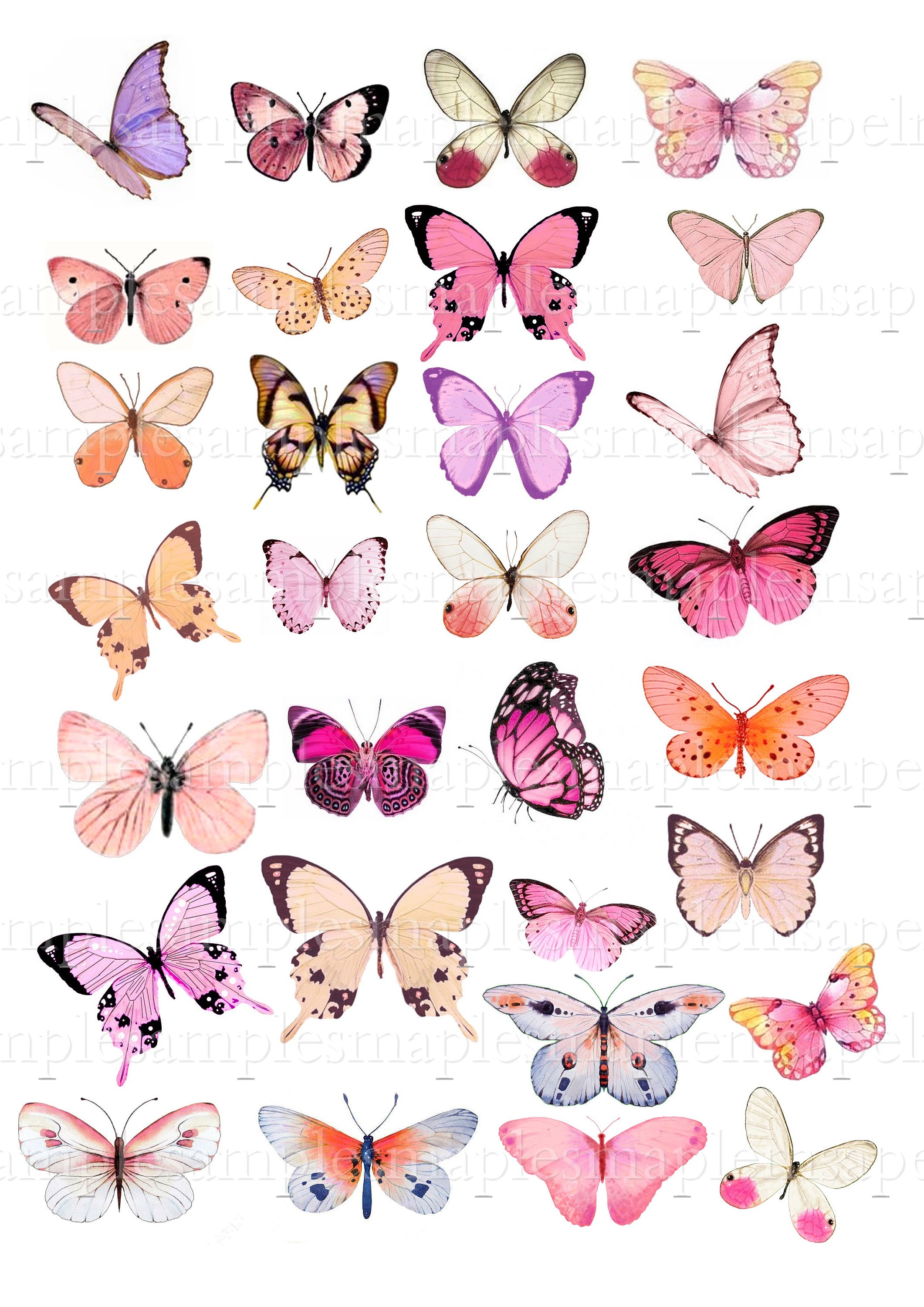 Digital Collage Sheet Butterflies wings JPEG and PNG Instant | Etsy