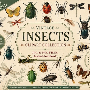 Printbare insectenclipart – lieveheersbeestje, vlinder, mier, spin – PNG- en JPEG-afbeeldingen – voor scrapbooking, dagboekschrijven en knutselen