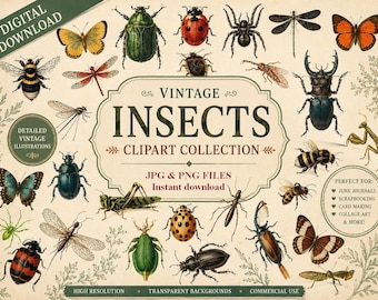 Insect Clipart Printable – Ladybug, Butterfly, Ant, Spider – Digital Images PNG JPEG for Scrapbooking, Journaling, DIY Crafts