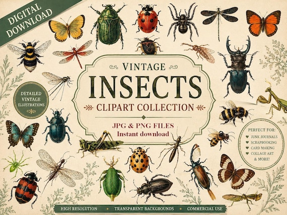 Cliparts Insectes à Imprimer – Coccinelle, Papillon, Fourmi, Araignée – Images Digitales PNG & JPEG – Scrapbooking, Journaling, DIY