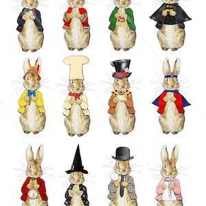 Digital collage sheet Peter Rabbit Beatrix Potter, Peter rabbit super heroe Instant Download, Decoupage, Nursery Decor, Baby Shower, Cricut