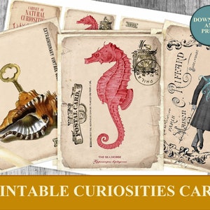 images digitales cartes Cabinet de Curiosités scrapbooking junk journal spot journal journaling Cartes postales Allegradigital