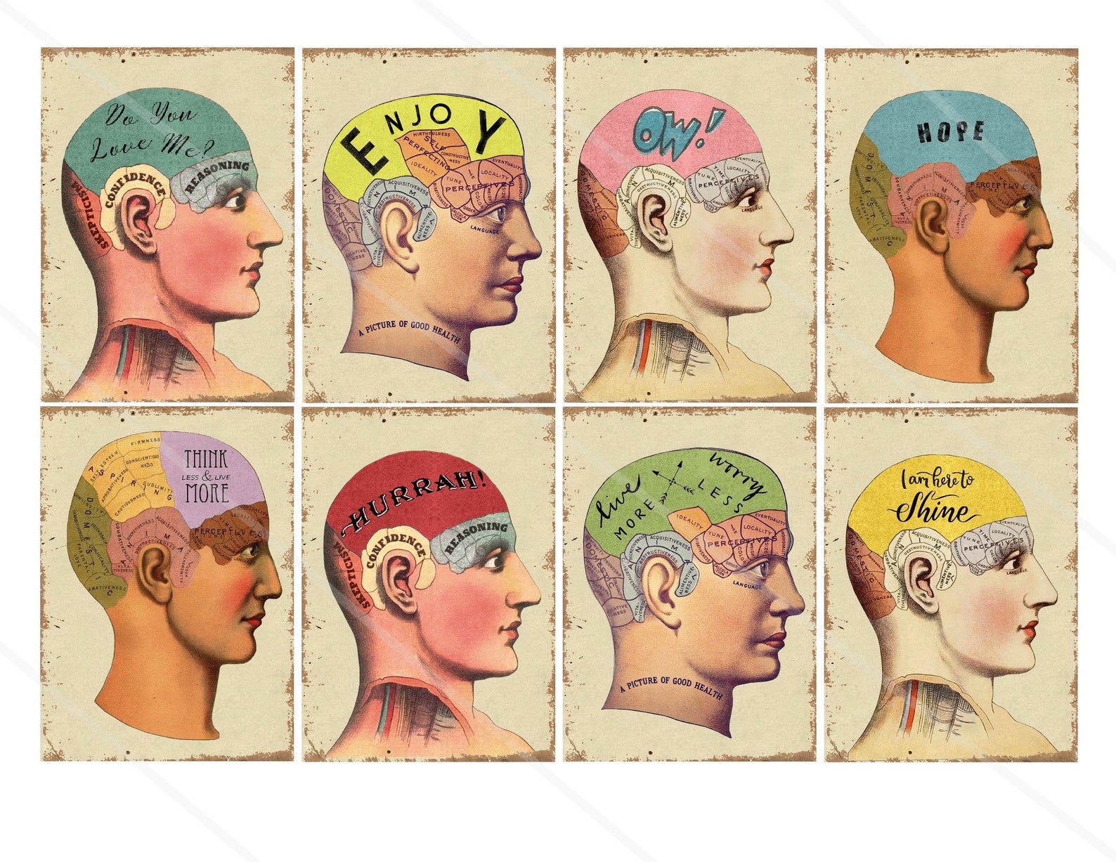 Inspirational Vintage Cards Anatomical Brain Vintage Victorian Medical ...