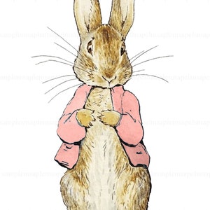 Digitaler Collagenbogen, Peter Rabbit rosa Jacke, Beatrix Potter, Sofortiger Download, Decoupage, Kinderzimmer Dekor, Babyparty, Cricut