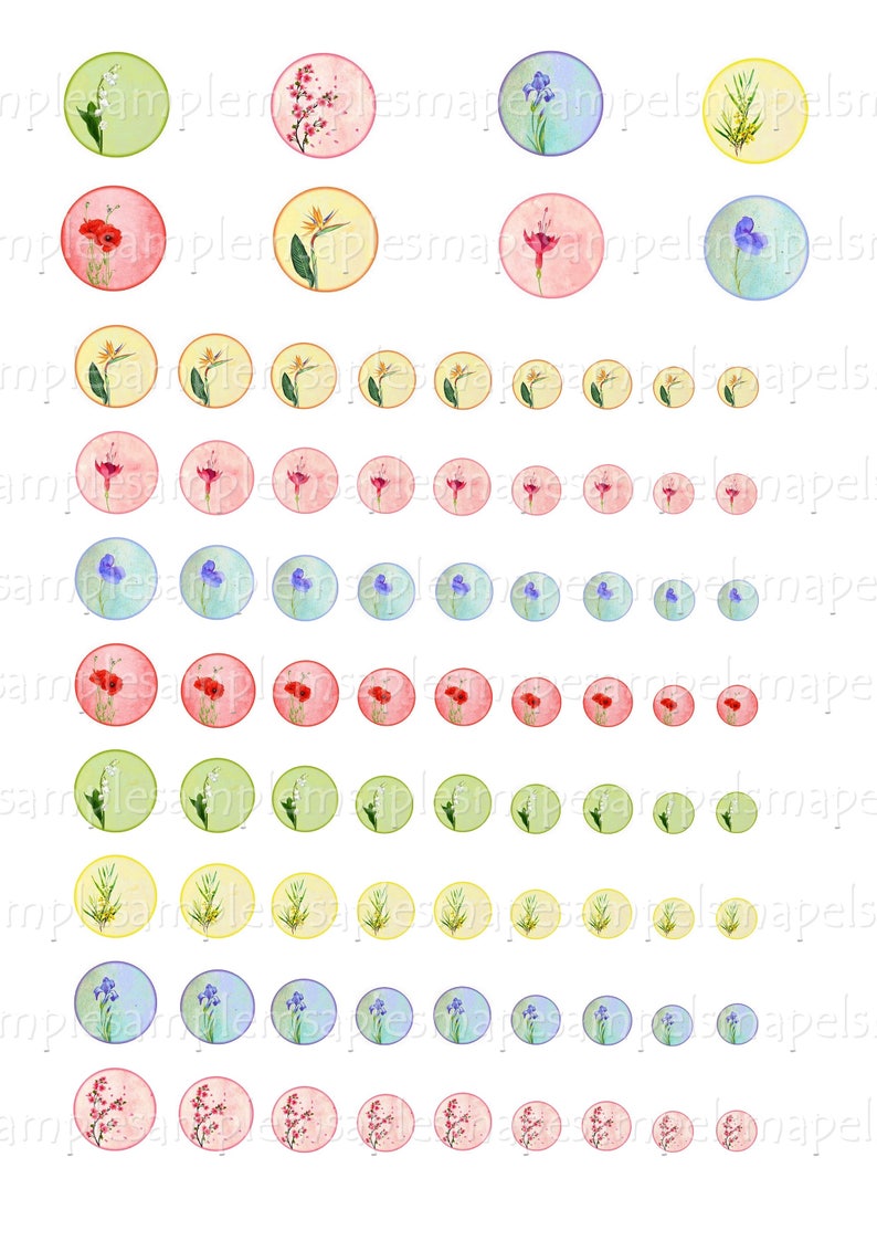 Digital Collage Sheet Circles Flowers Watercolor Flower Poppy - Etsy