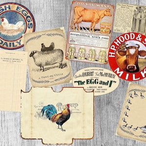 Op de afbeelding: Een verzameling vintage-stijl borden met afbeeldingen met betrekking tot de boerderij. De borden tonen een haan, een koe, een schaap en een hen. De borden zijn gedrukt op metaal en hebben een rustieke, verweerde uitstraling. De borden zijn perfect om een vleugje boerderijcharme toe te voegen aan elk huis.