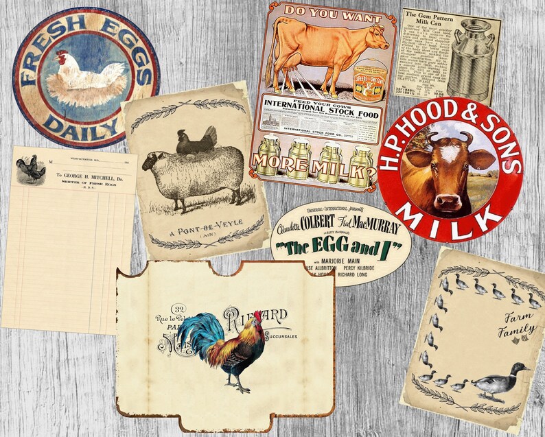 Op de afbeelding: Een verzameling vintage-stijl borden met afbeeldingen met betrekking tot de boerderij. De borden tonen een haan, een koe, een schaap en een hen. De borden zijn gedrukt op metaal en hebben een rustieke, verweerde uitstraling. De borden zijn perfect om een vleugje boerderijcharme toe te voegen aan elk huis.