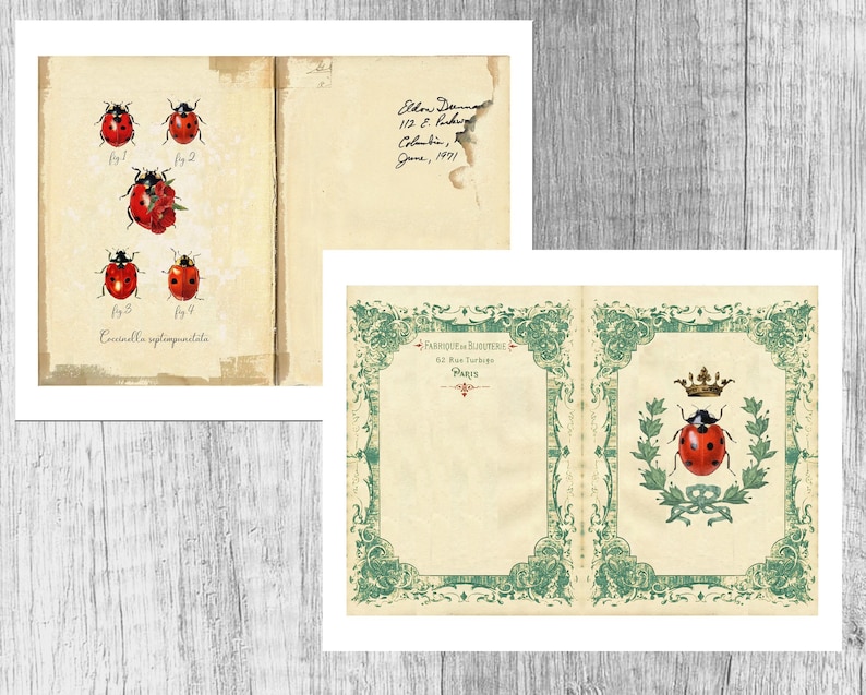 Vintage Ladybug Junk Journal Printable Kit – 19 Digital Collage Sheets ...