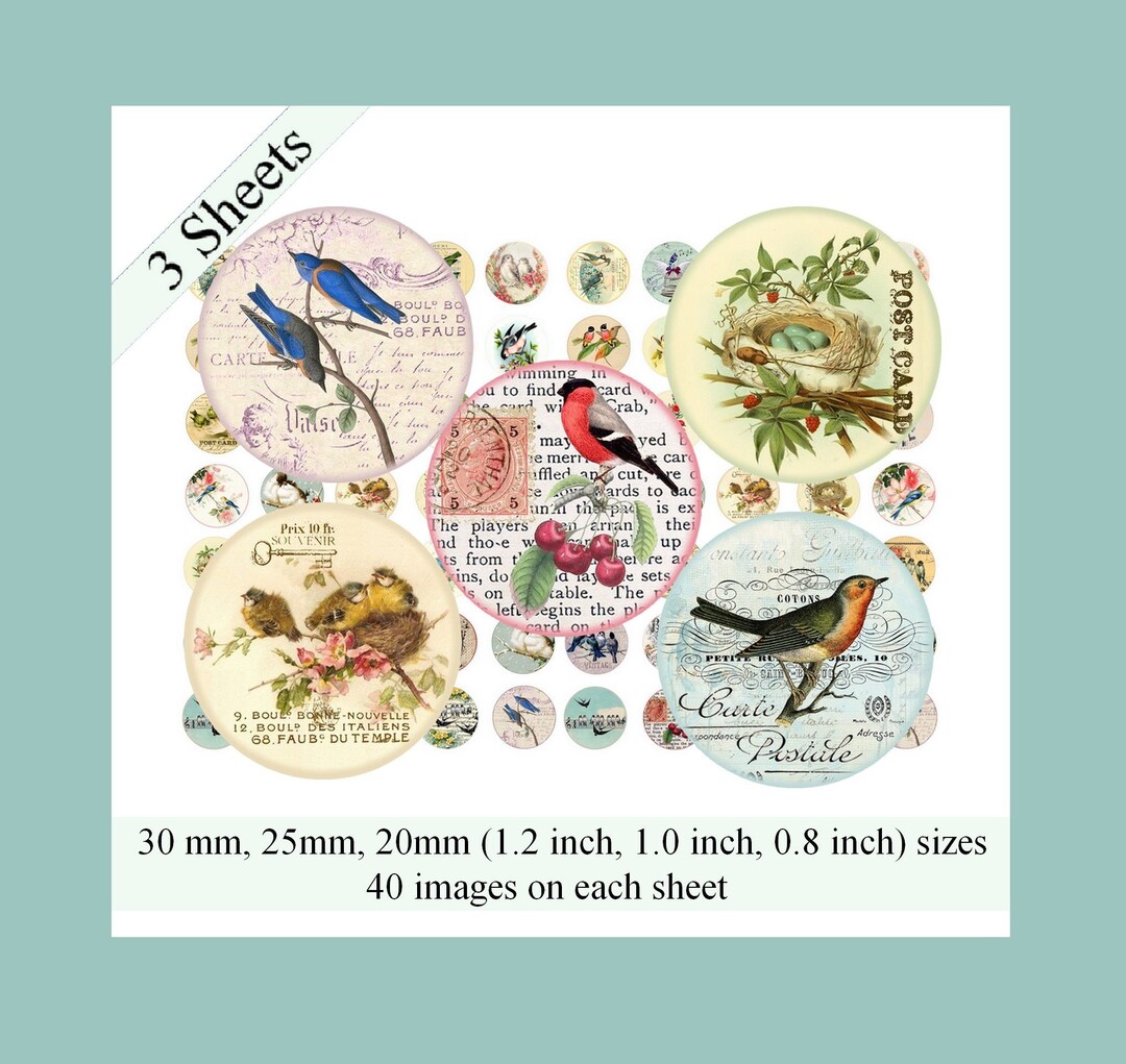 Digital Collage Sheet Vintage Birds 1 Inch Round Image Bird 30mm 25mm ...