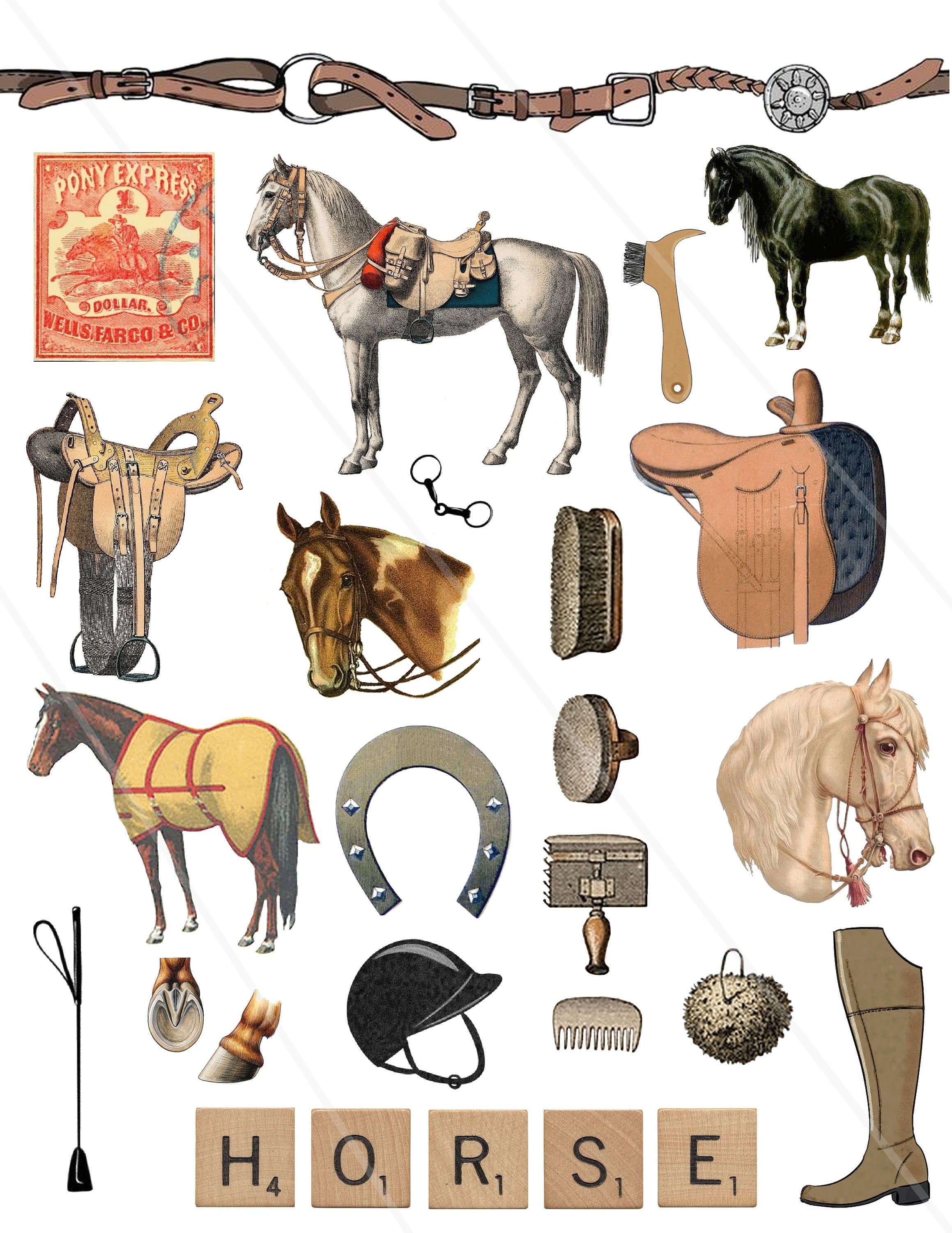 Vintage Horse Riding Clip Art and Ephemera Horse Riding Etsy